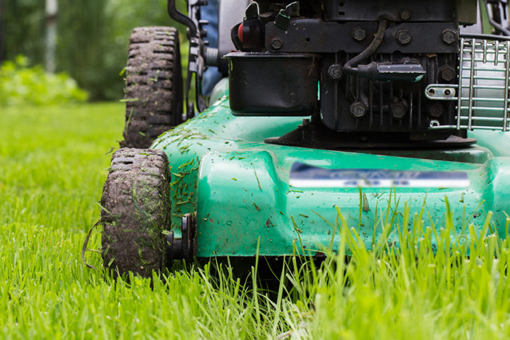 10-Lawn-Care-Tips-to-Green-Lush-Grass