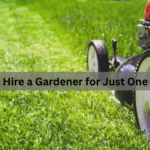 Can I Hire a Gardener for Just One Day