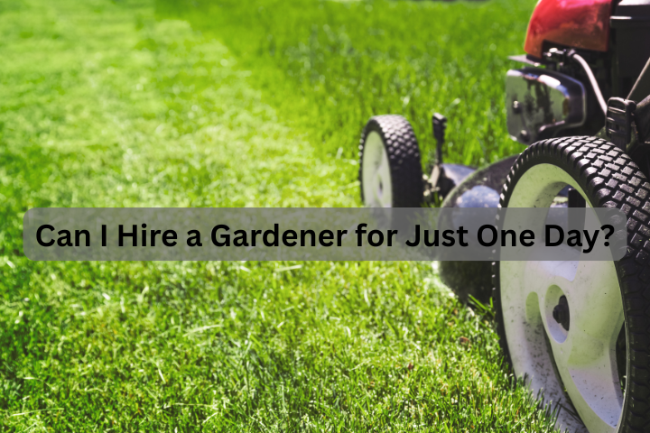 Can I Hire a Gardener for Just One Day