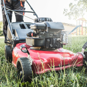 Questions Every Homeowner Should Ask Before Hiring a Garden Service