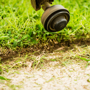 The Biggest Myths About Gardeners and Landscapers