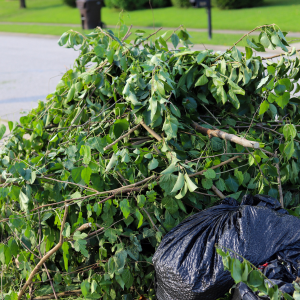 The Biggest Myths About Hiring a Gardening Service