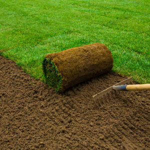 The Biggest Myths About One-Day Garden Services