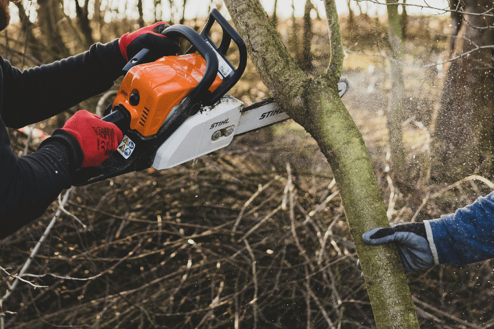What Factors Affect Tree Removal Costs