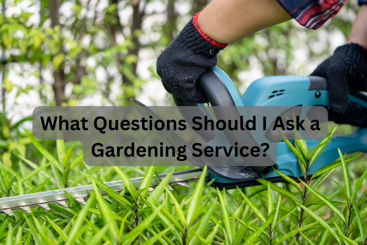 What Questions Should I Ask a Gardening Service