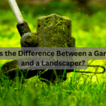 What's the Difference Between a Gardener and a Landscaper