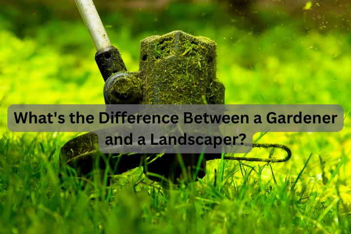 What's the Difference Between a Gardener and a Landscaper