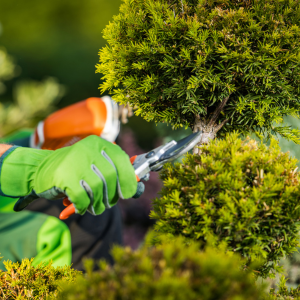 When Hiring a Gardener for One Day Makes Perfect Sense